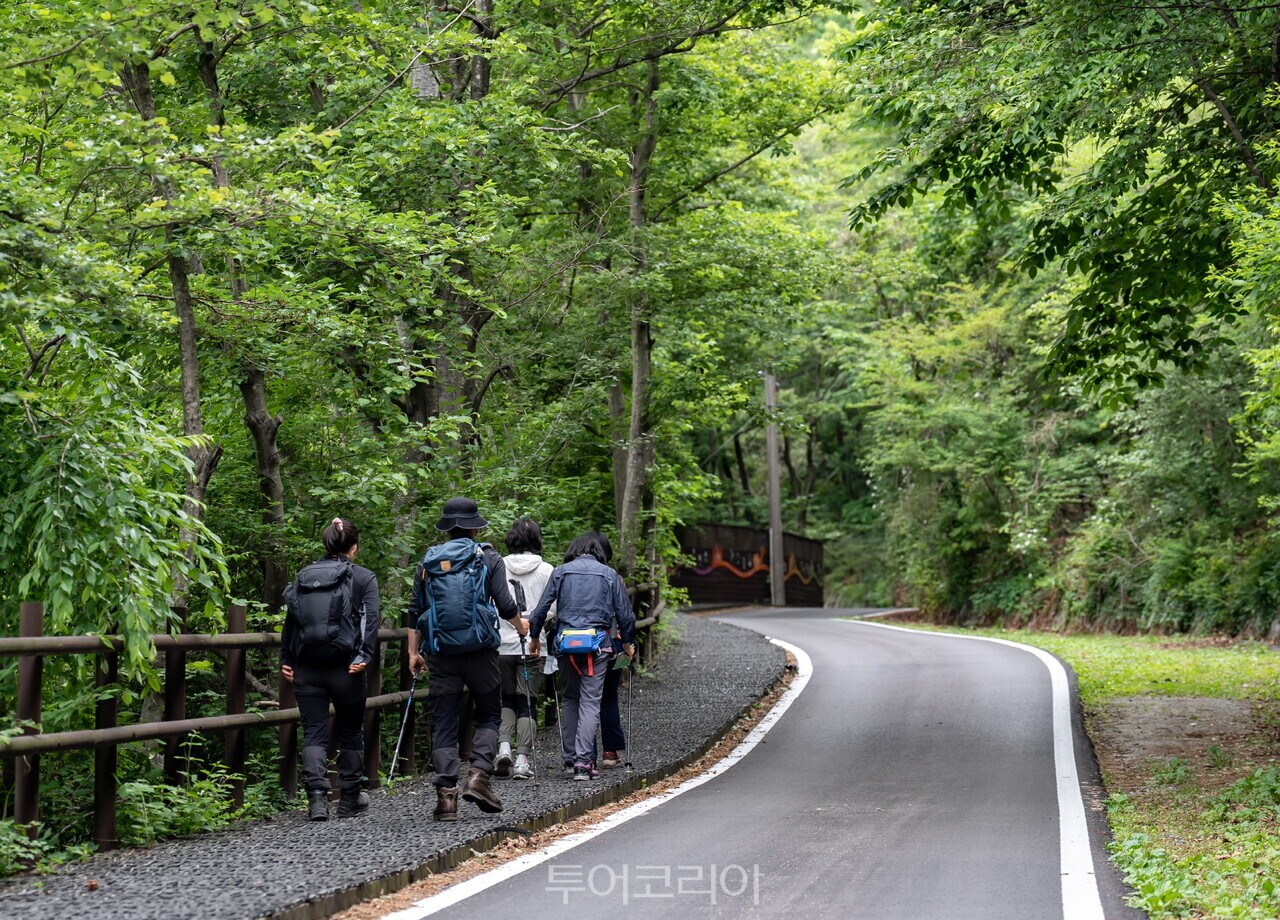 ‘동서트레일 영주 구간’ /사진-영주시