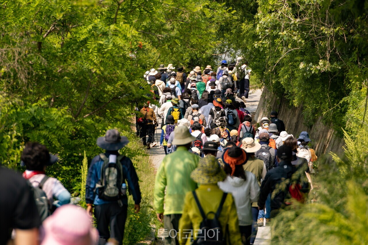 동서트레일 영주 구간 중 죽령옛길을 걷고 있는 사람들 /사진-영주시
