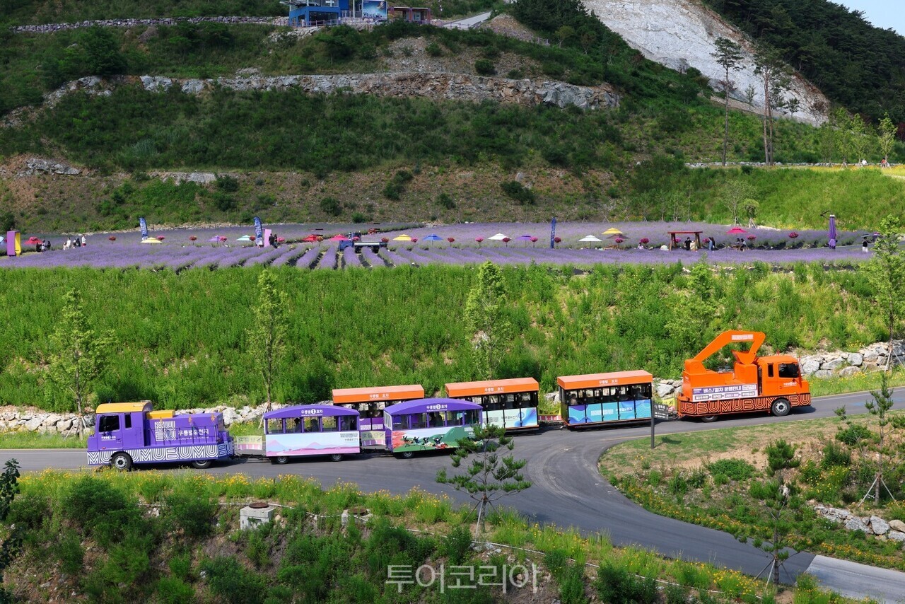 무릉별유천지 열차/사진-동해시