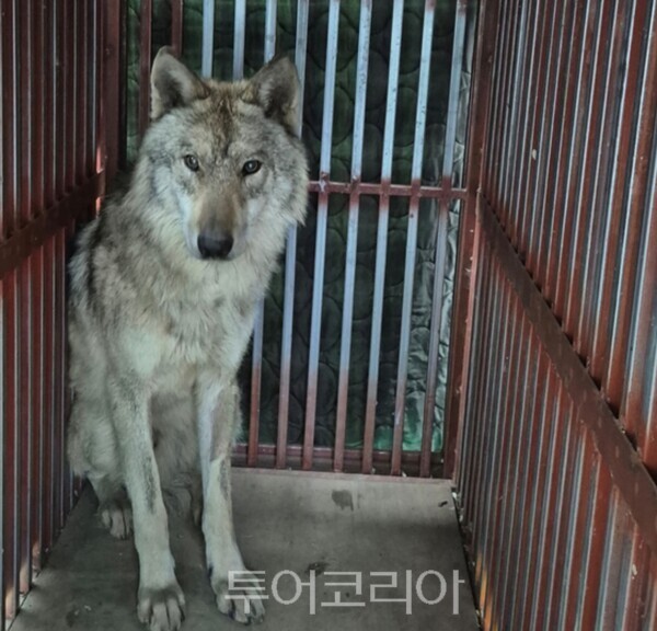 사진=이장우 대전시장 페이스북