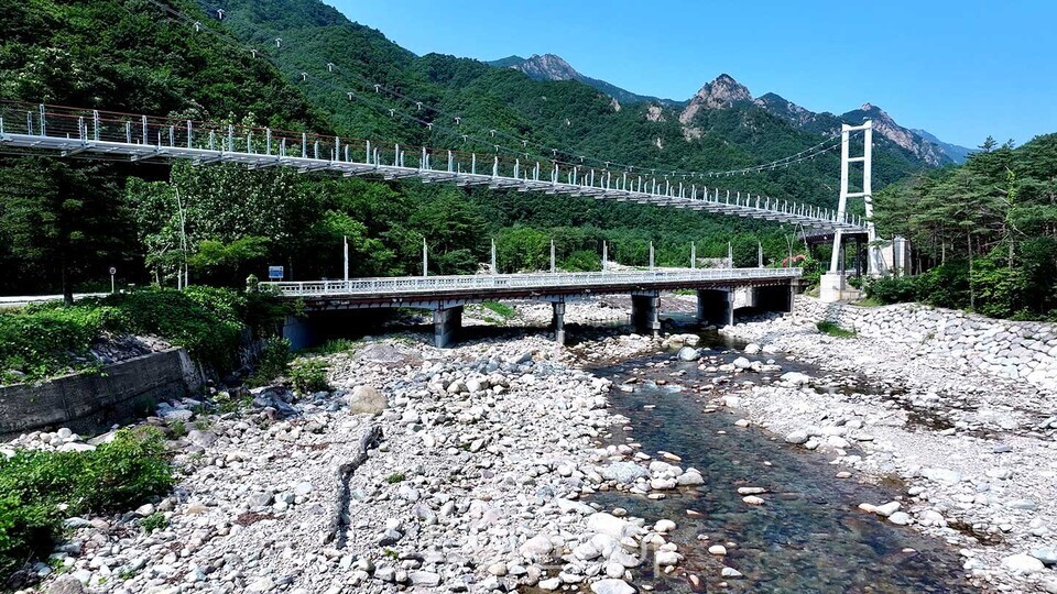 출렁다리/사진=속초시