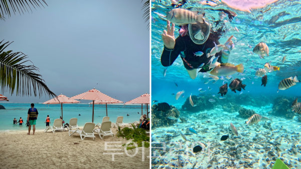사이판 본섬에서 15분이면 도착하는 마나가하 섬 (좌), 얕은 수심에서도 다양한 해저 풍경을 즐길 수 있는 마나가하 섬 스노클링(우) / 사진- 마리아나관광청