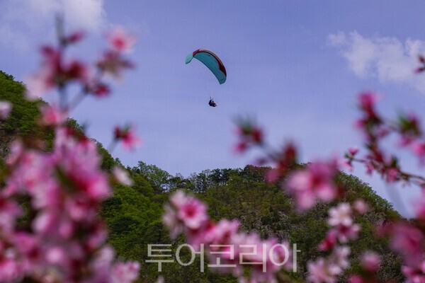 F1 패러글라이딩을 즐기는 사람들 / 사진_투어코리아 유지훈 기자