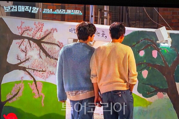 사진 / tvN 프로그램 ‘보검매직컬’ 방송 프로그램 캡쳐