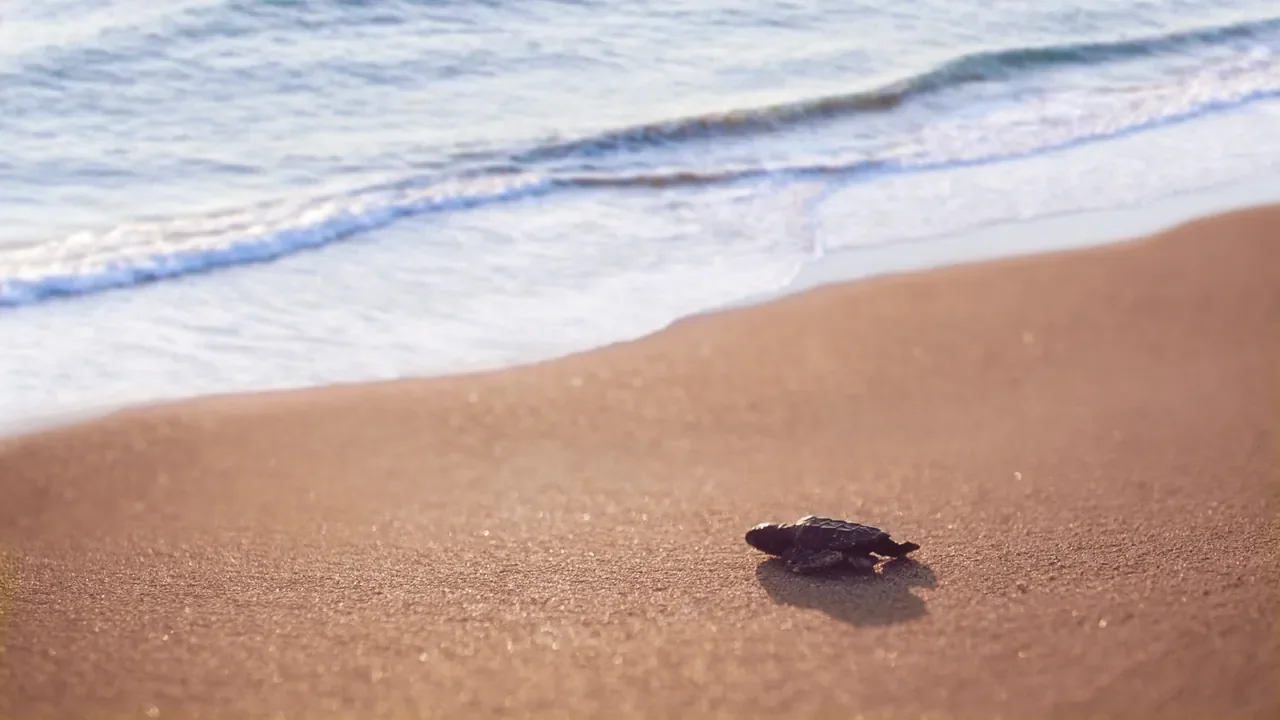 /사진=튀르키예 안탈리아, 고대 유적 품고 헤리티지 관광지로 부상