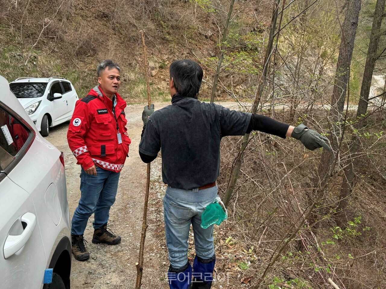 "산림청 관계자가 봄철 산나물 불법 채취 단속을 하고 있다/사진-산림청