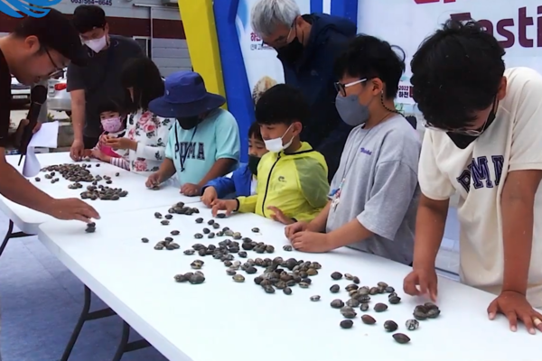 고창하전 바지락 축제