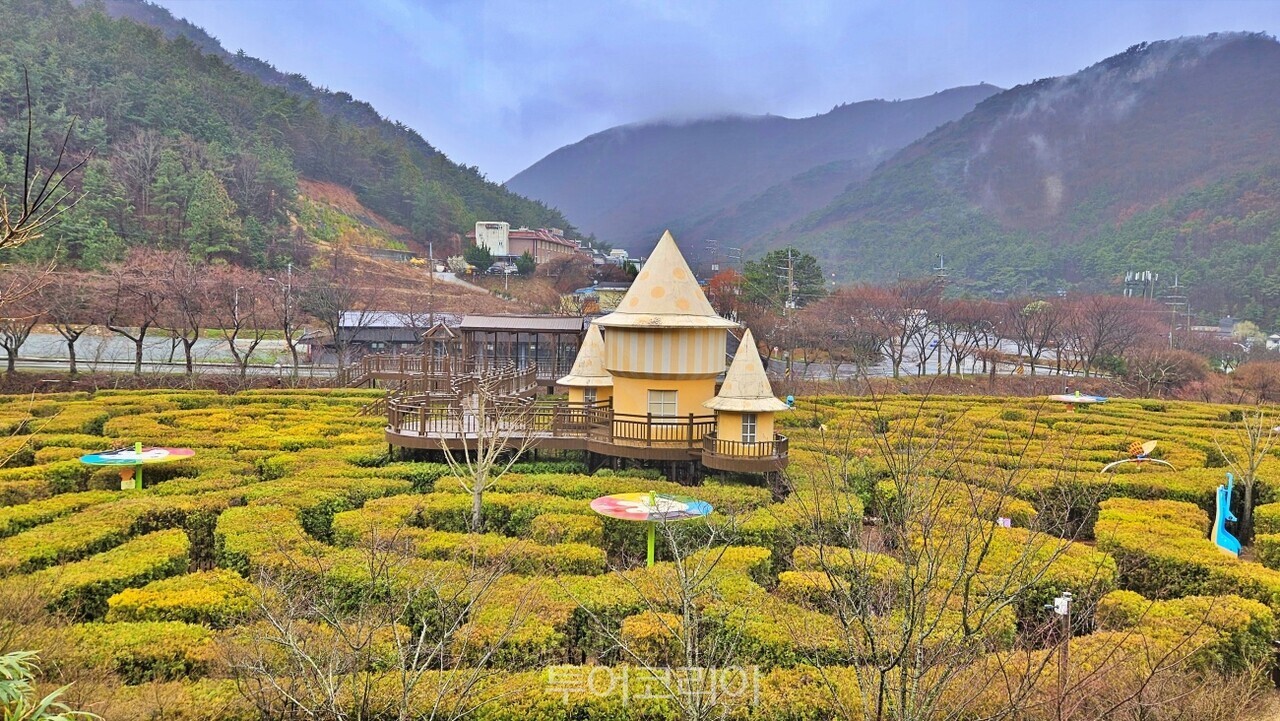 두륜미로파크 /사진-투어코리아