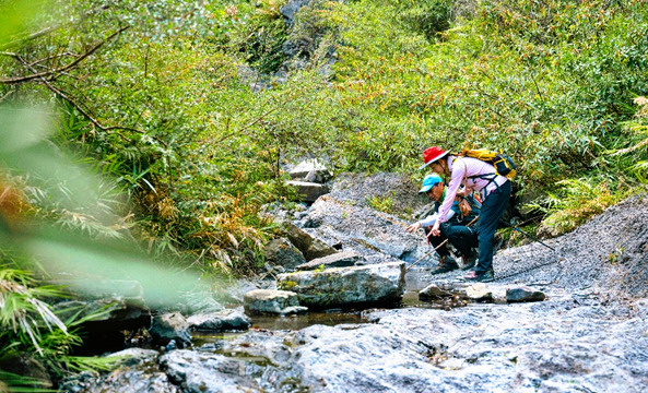 계곡과 산세가 어우러진 자연 풍경을 감상할 수 있는 리롱산 모습