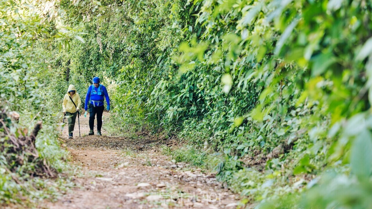 울창한 숲길을 따라 걷기 좋은 웨이랴오산 트레킹 코스