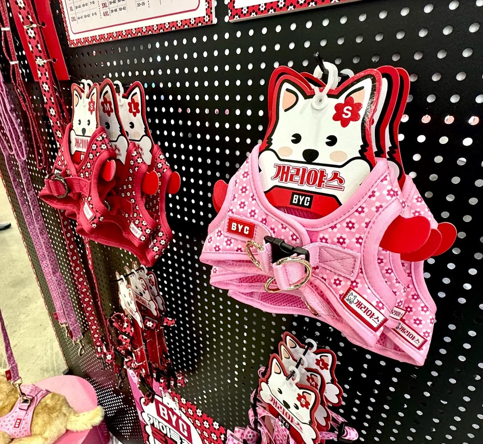 /사진=BYC, ‘2026 케이펫페어 부산’서 ‘개리야스 산책시리즈’ 최초 공개