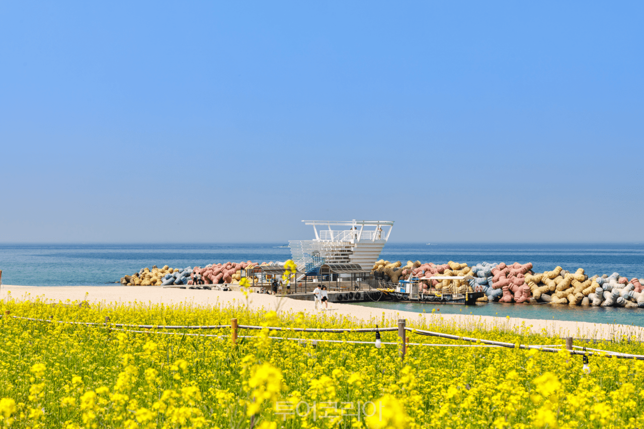 사근진 해변 멀티플 광장 / 사진-강릉시