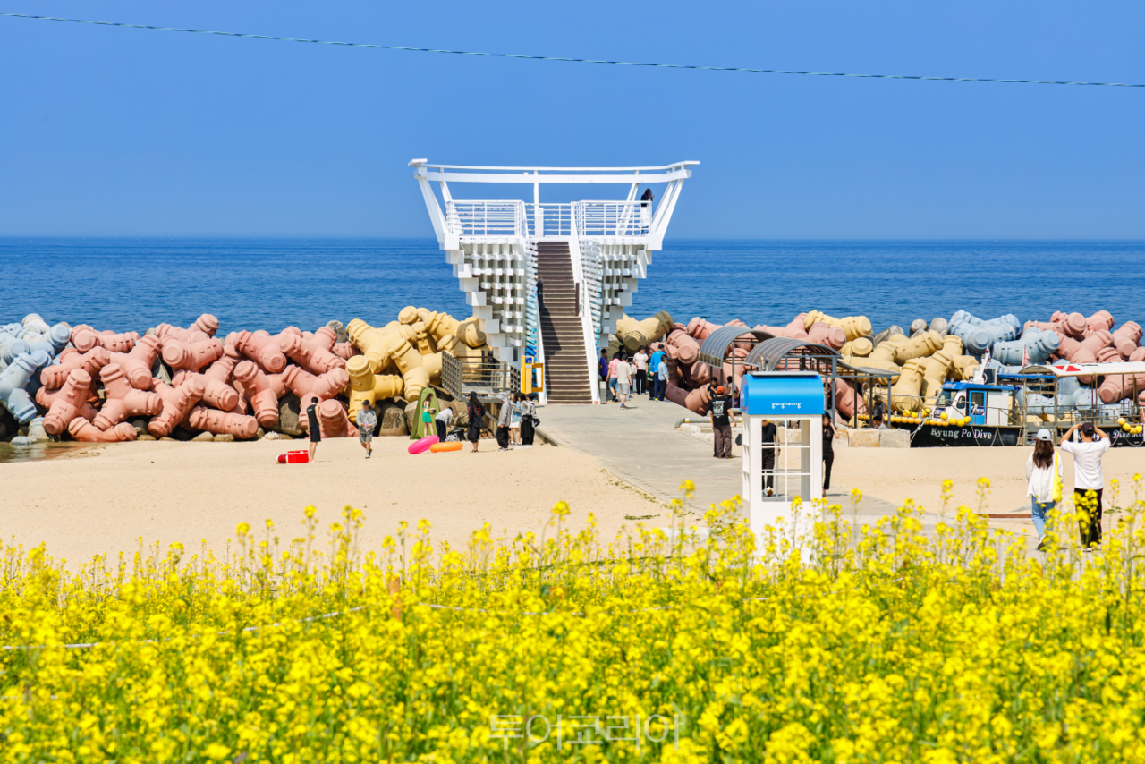 사근진 해변 멀티플 광장 / 사진-강릉시