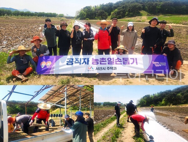 ▲서산시 주택과 직원들이 지난 30일 본격적인 영농철을 맞아 인력난에 시달리는 농가를 돕기 위해 음암면 유계리 소재 농가를 방문해 봉사활동을 펼치며 구슬땀을 흘렸다. /사진-서산시(편집 류석만 기자)