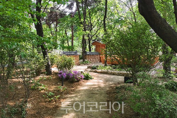 사진_오솔길과 협문(주간) / 국가유산청 제공