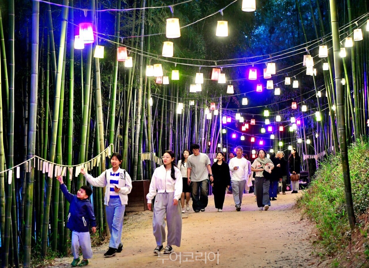 담양대나무축제 죽녹원 야경 개막 거리 퍼레이드 개막식 "관방제림 야경 / 사진-담양군