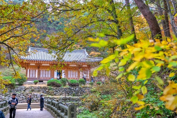 "1-1 5월 mvti 포스터" "1-4상주 동학교당" "1-3 경주 용담정 전경" "1-2 문경 고모산성 전경" /사진-경북문화관광공사