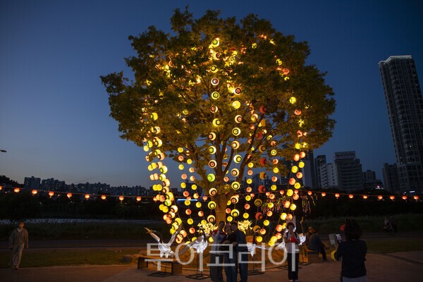 '2026 울산태화가람대축제'에 참석한 시민들이 연등으로 장식된 나무 앞에서 사진을 찍고 있다./사진-김교환 기자
