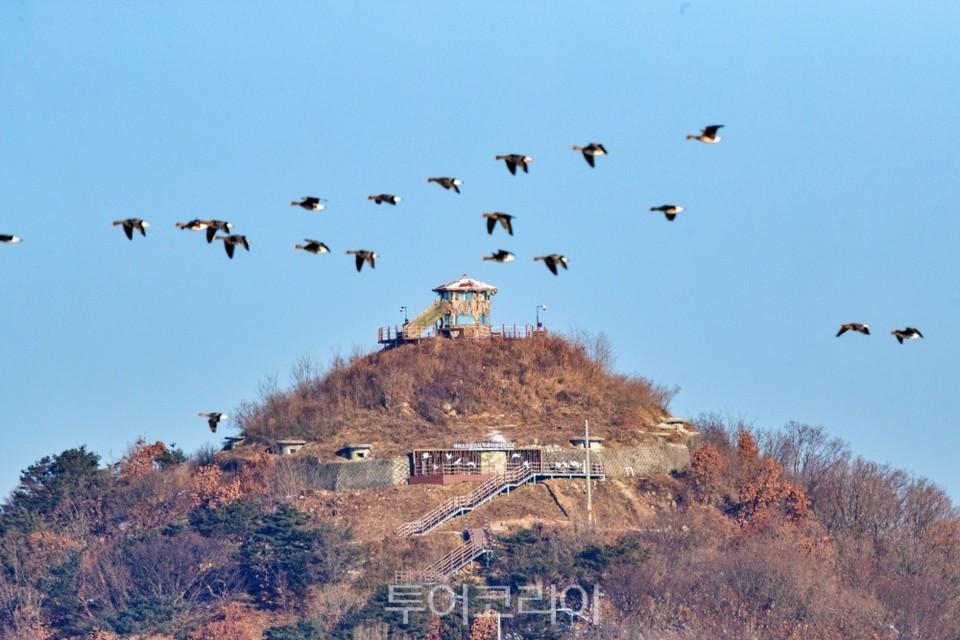 철원 평화관광지 / 사진-철원군
