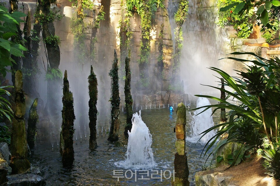 석부작 계곡 /사진=유경훈 기자