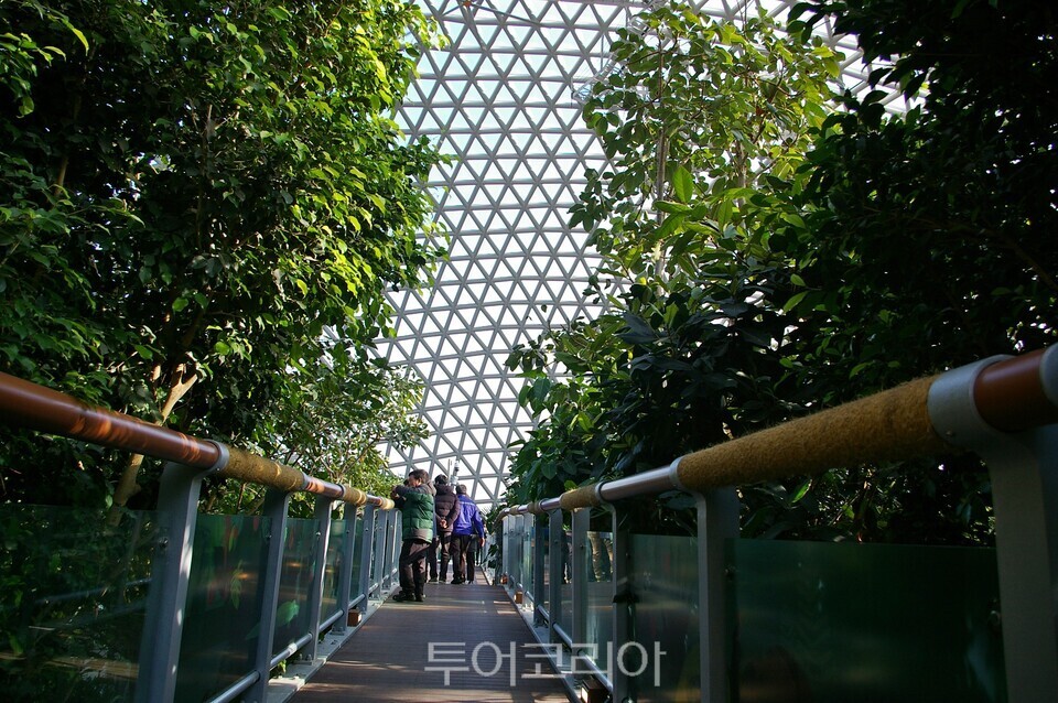 공중을 걷는 스카이워크 /사진=유경훈 기자