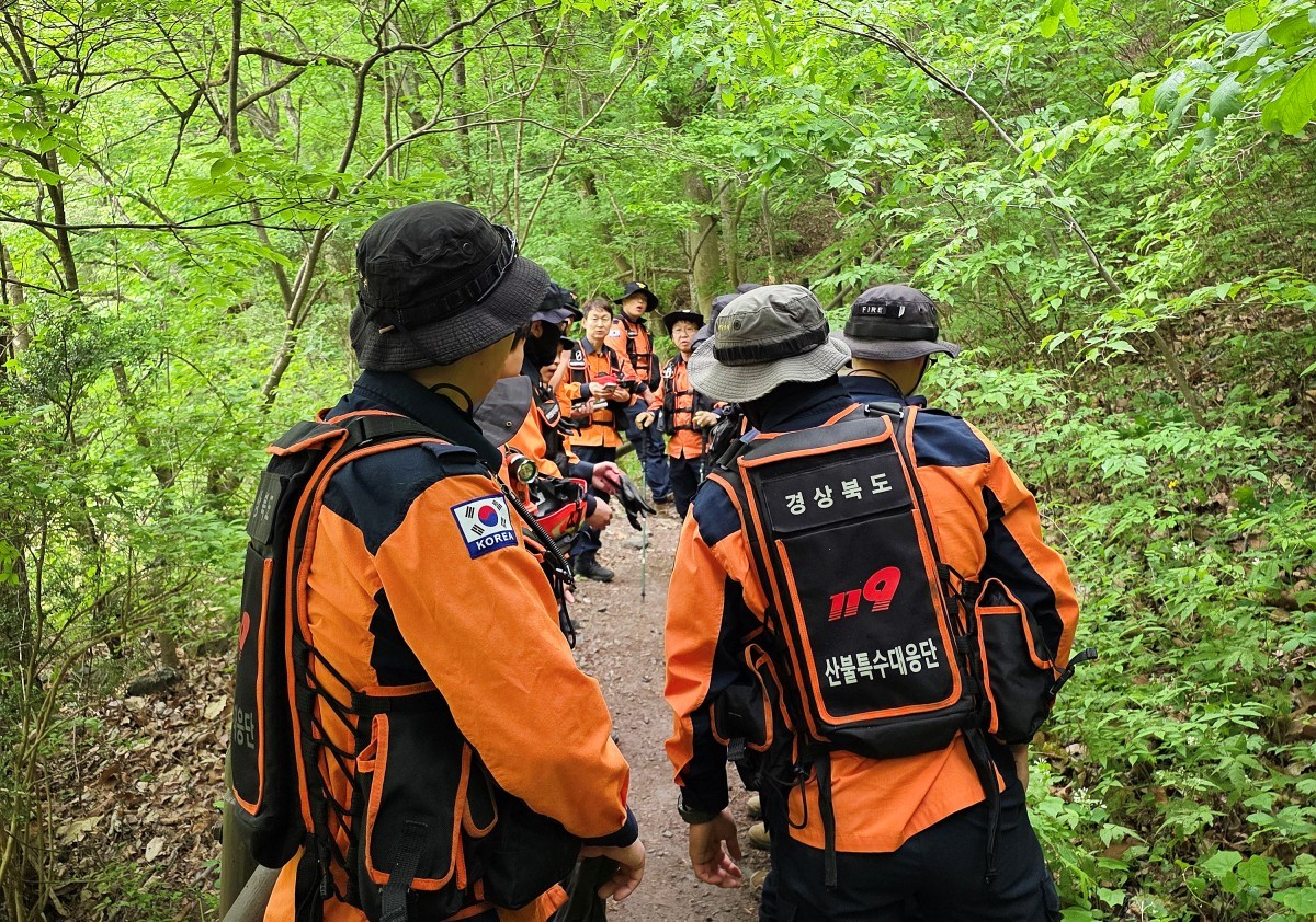 12일 오전 경북 산불특수대응단을 비롯한 경북소방 관계자들이 청송군 주왕산국립공원에서 실종된 13세 초등학생을 찾기 위한 수색을 재개하고 있다. / 경북소방본부 제공