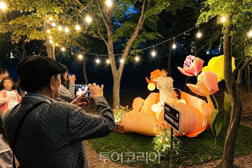 일월수목원 야간개 화성행궁 야간개장 / 사진-수원시