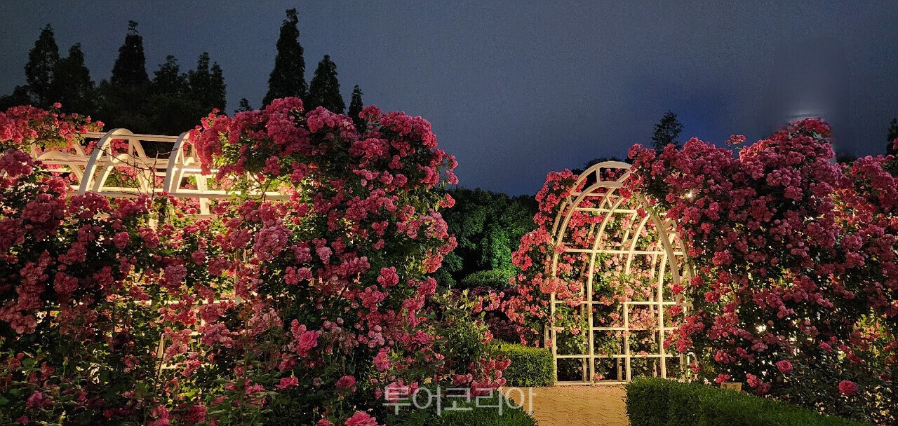 광양 중마동 장미공원/사진-광양시
