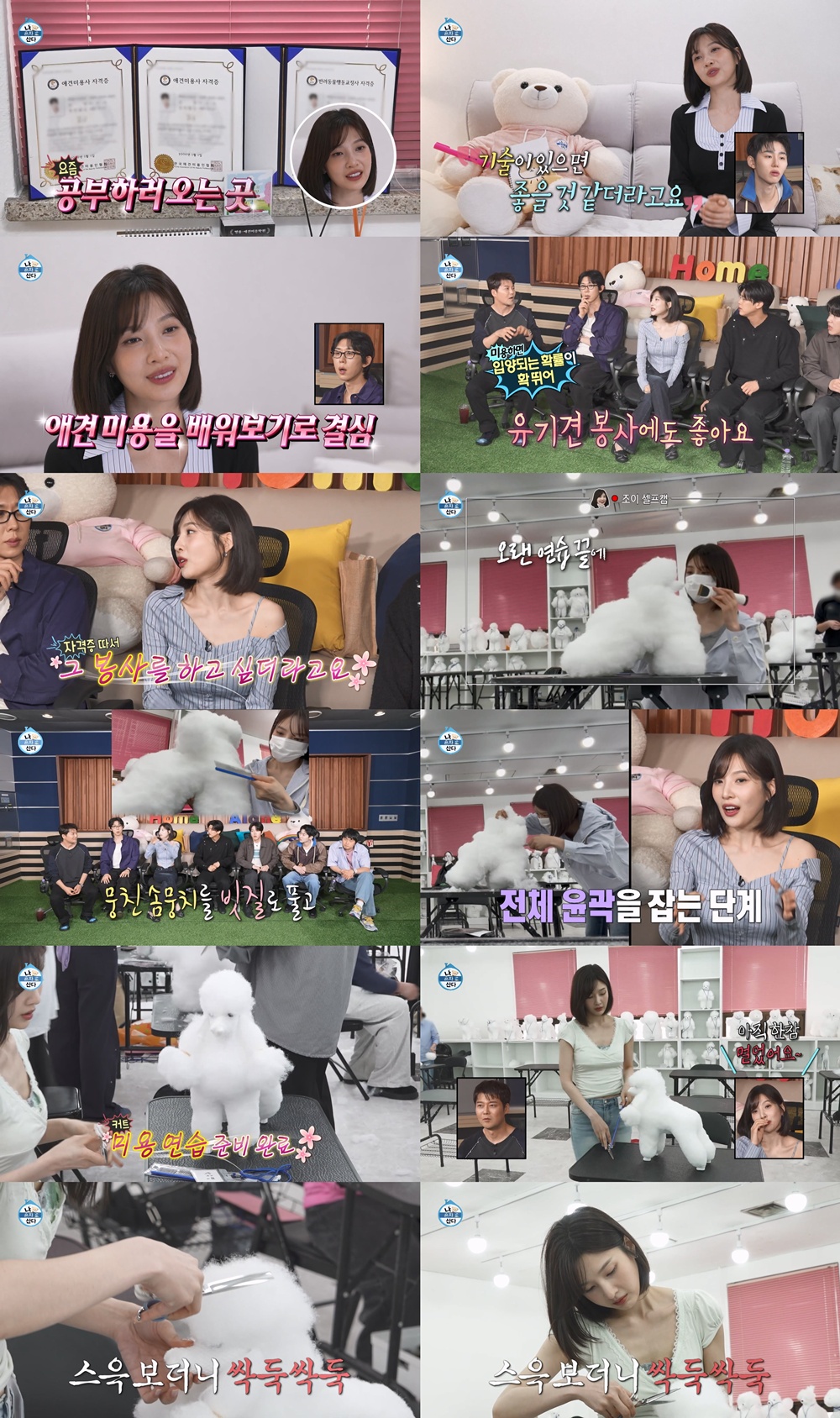 iMBC 연예뉴스 사진