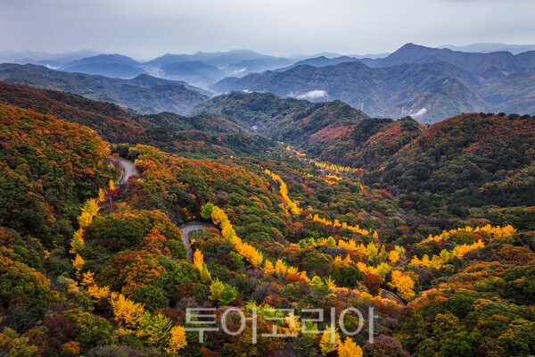 사진 / 적상산 가을전경_투어코리아 유지훈 기자