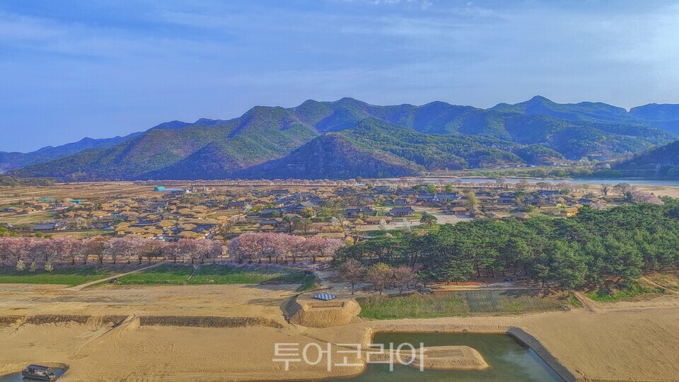 부용대에서 내려다보는 하회마을 풍경