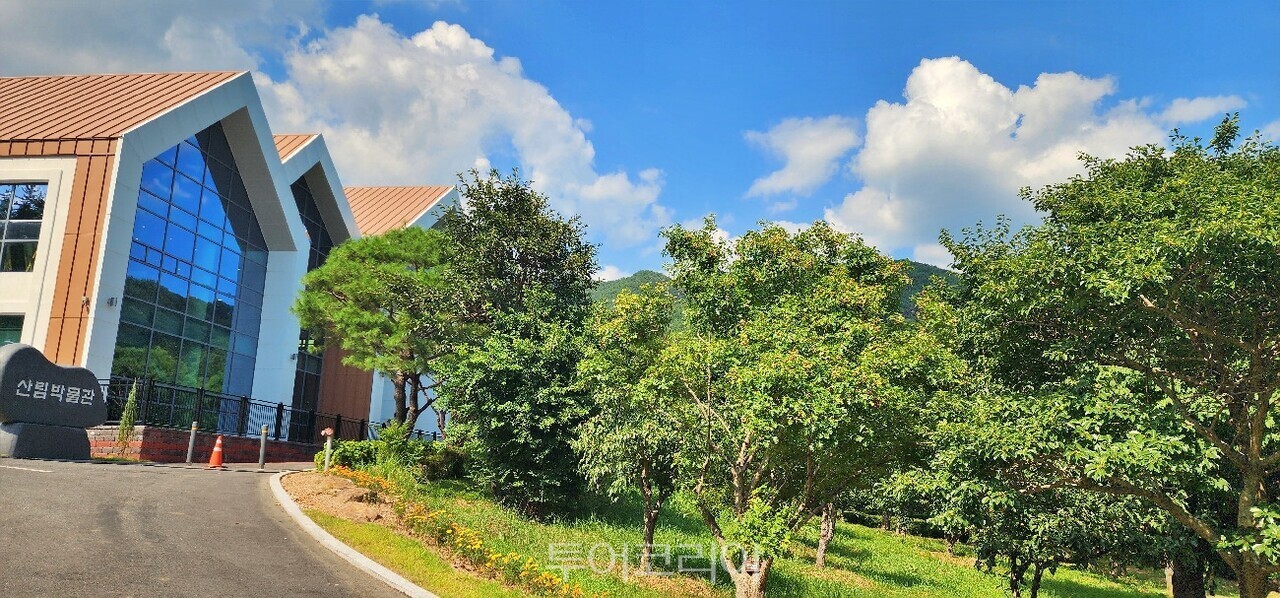백운산 계곡 백운산자연휴양림 캠핑장 백운산 등산로 백운산산림박물관 백운산 전경/사진-광양시