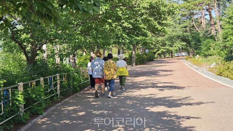 영랑호 둘레길 걷는 시민들 /ⓒ 투어코리아