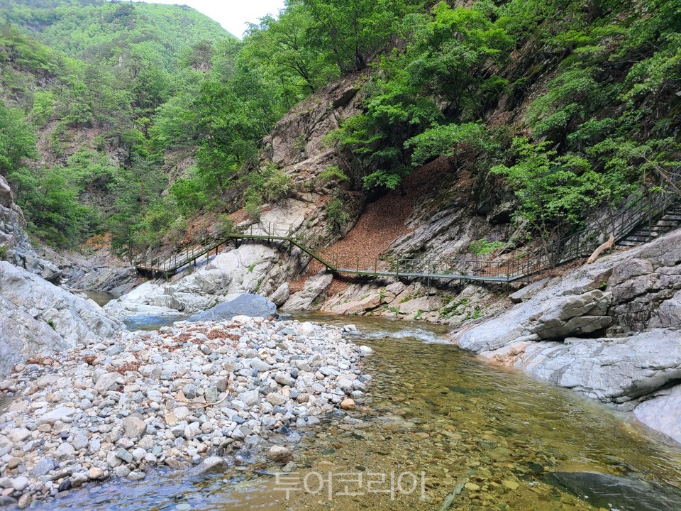 ​덕풍계곡 생태탐방로​ / 사진-삼척시