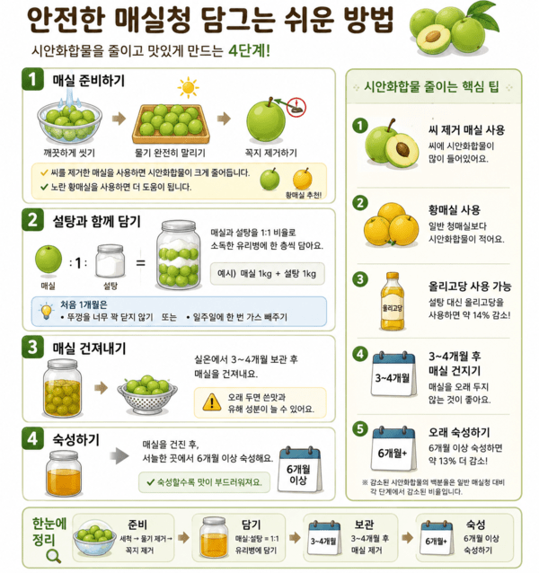 사진 / 매실청 담그는 방법(AI 이미지)