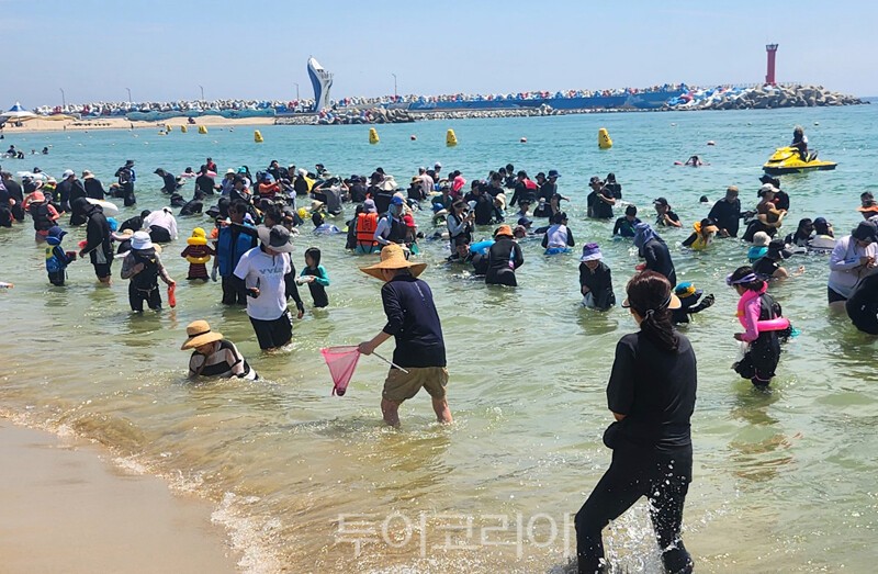 영덕 고래불 해변 영덕 황금은어축제 /사진-영덕군