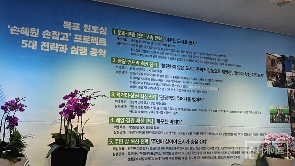 손혜원의 모든 공약은 '목포에서의 삶'을 통해 스스로 체험하고, 연구하고, 고민한 결과물이다. 그는 누구의 도움도 받지 않고 전체 공약을 스스로 만들어냈다(사진=더게이트)