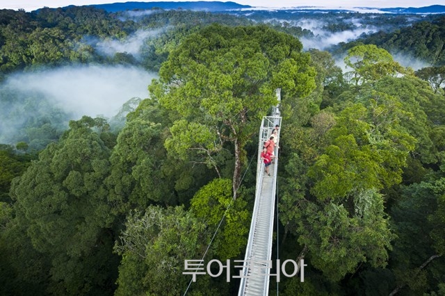 울루 템부롱 국립공원