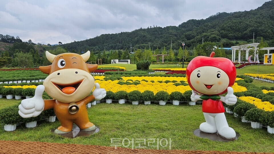 장수한우랑사과랑 축제 ⓒ투어코리아