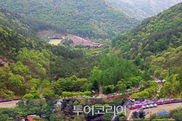 완주고산자연휴양림 / 사진-전북도