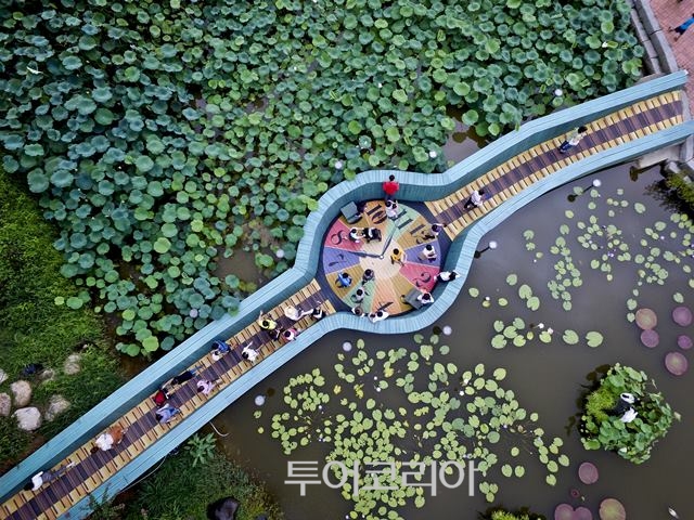 무안연꽃축제 / 사진-무안군