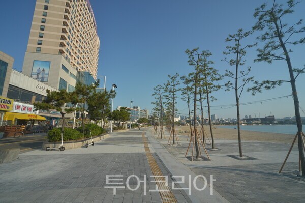 7월 1일 개장을 앞두고 새롭게 개설된 동구 일산해수욕장 해안산책로./사진-울산 동구