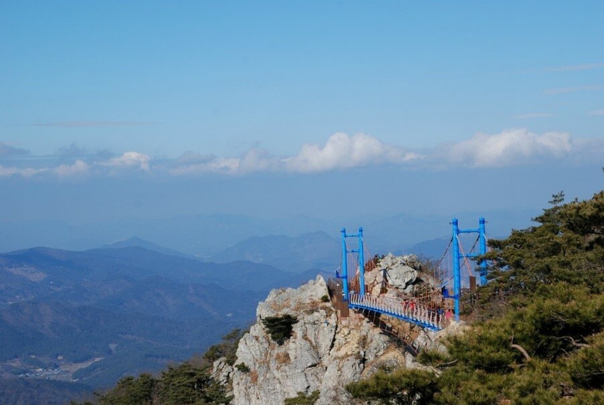 백아산 하늘다리 전경. / 숲나들e 제공