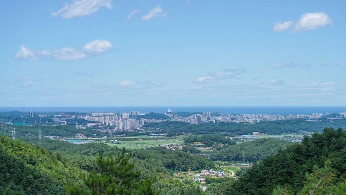 강릉솔향수목원 전망 구간. / 한국관광공사