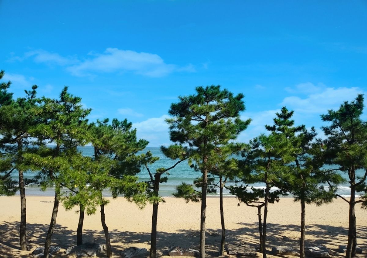진하해수욕장. / ⓒ한국관광공사 제공
