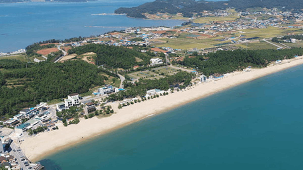 솔숲과 맨발로 걷기 좋은 황톳길이 해변 주변에 함께 조성돼 있다. / 완도해양치유관리공단