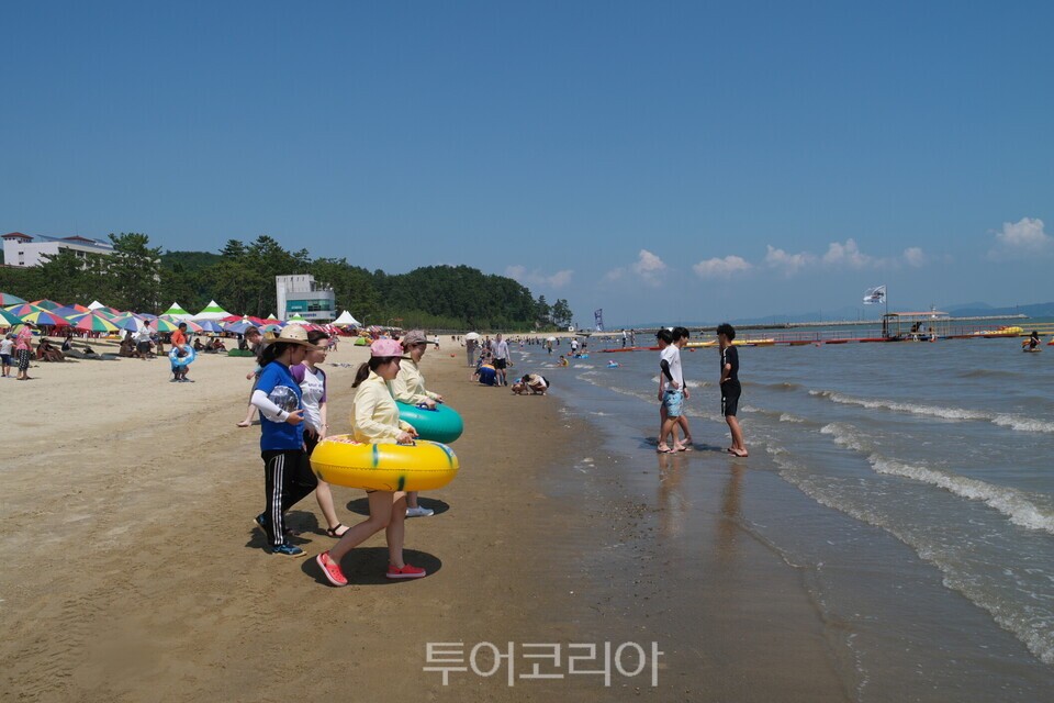 율포솔밭해수욕장 ⓒ투어코리아