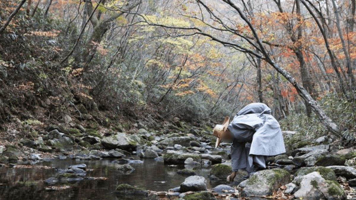 숲과 계곡이 어우러진 조계산 자락에서 스님이 걸음을 멈추고 자연을 살피고 있다. / 한국관광공사