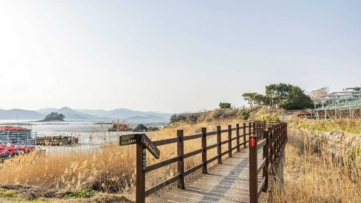 순천 와온해변에 나무 데크 산책로가 놓여 있어 갯벌과 노을 풍경을 가까이서 볼 수 있다. / 한국관광공사