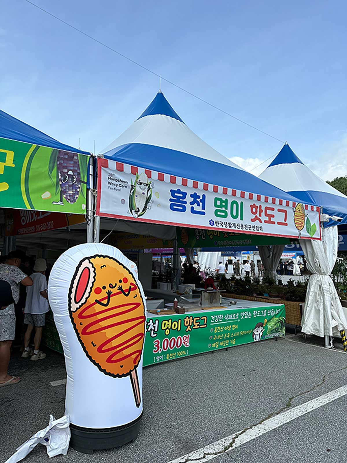 홍천 명이나물을 활용한 핫도그 등 이색적인 지역 특산물 먹거리 부스가 마련돼 눈길을 끈다. / 홍천축제